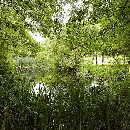 Un Petit Coin De Campagne Dans Le Pays De Saint-Gilles Vila Exterior foto