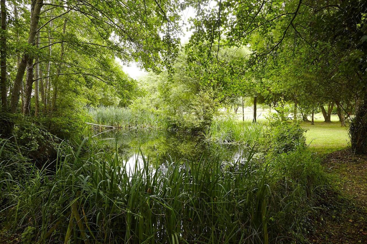 Un Petit Coin De Campagne Dans Le Pays De Saint-Gilles Vila Exterior foto
